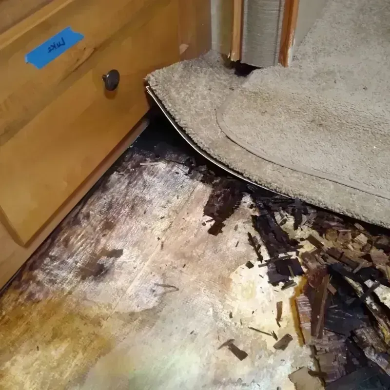 Wood Floor Water Damage in Larimer County, CO